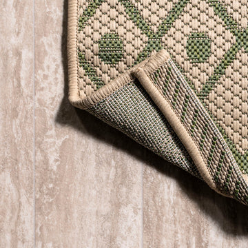 Boho Moroccan Indoor/outdoor Area Rug